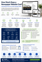 How much does a newspaper website cost?