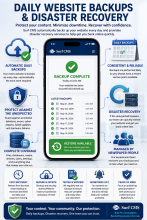 Surf CMS backups and recovery