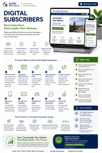 Attract subscribers to your newspaper with surf new media